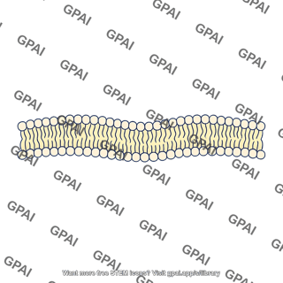 Membrane