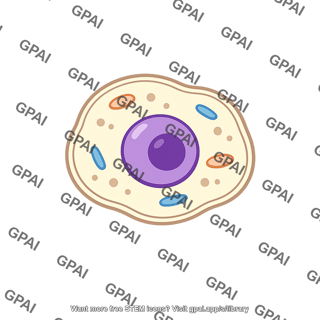 Fruit fly cell