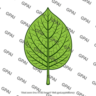 Leaf venation