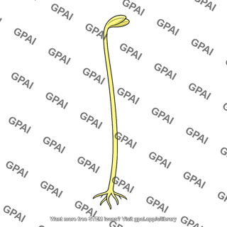 Plant dark grown