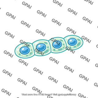 Eukaryote multicellular microscopic