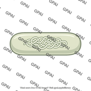 Bacterial cell