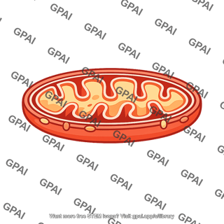 Oval pastry with filling