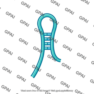 Microrna hairpin