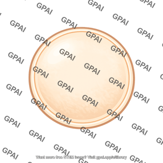 Animal egg enucleated
