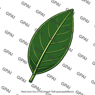 Orange tree leaf