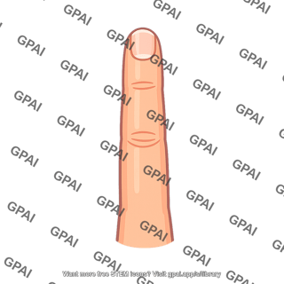 Finger