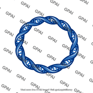 Chromosome ring shaped