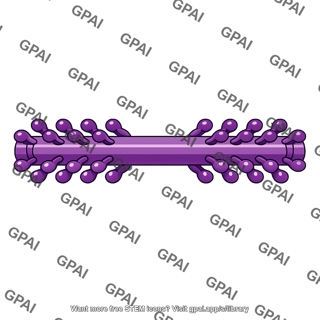 Myosin filament