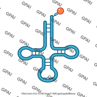 Aminoacyl trna