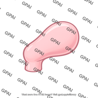 Vertebrate limb bud