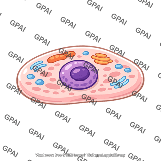 Differentiated animal cell