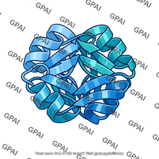 Protein ribbon model