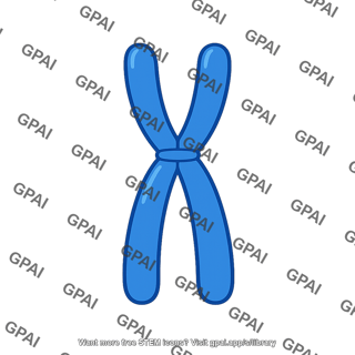 Parental chromosome