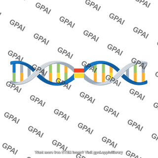 Dna sequence polymorphism