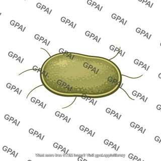 Methanogen