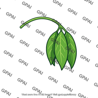 Bean leaf night position