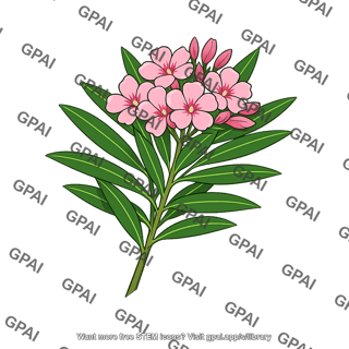 Oleander flowering branch