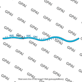 Mrna