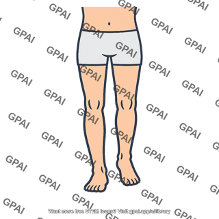 Human lower body