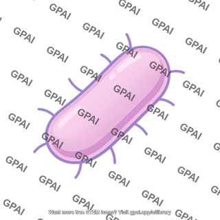 Microbiome bacterium