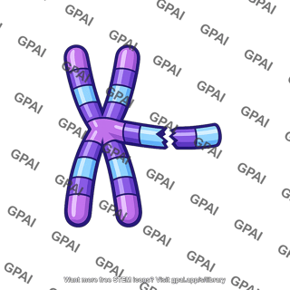 Chromosome breakage point
