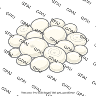 Starch granules