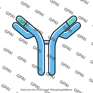 Antibody b