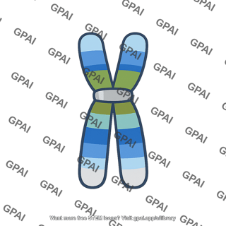 Human chromosome painted