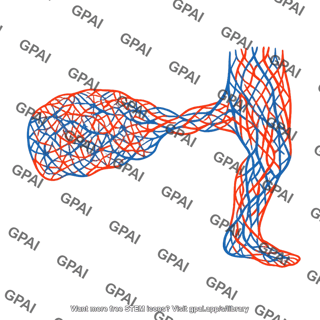 Capillary bed abdominal organ and hind limb