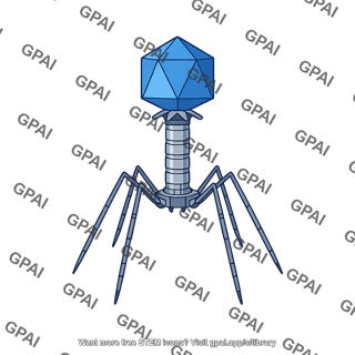 Phage t2