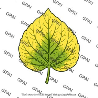 Older leaf yellow