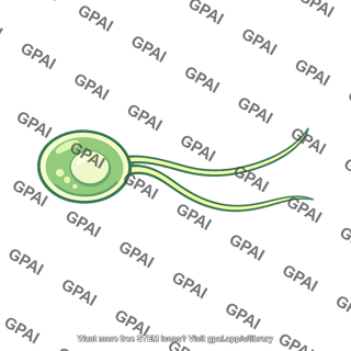Biflagellate gamete