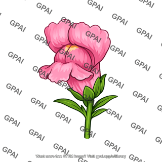 Snapdragon flower pink