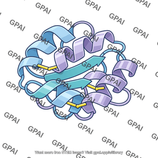 Protein ribbon model