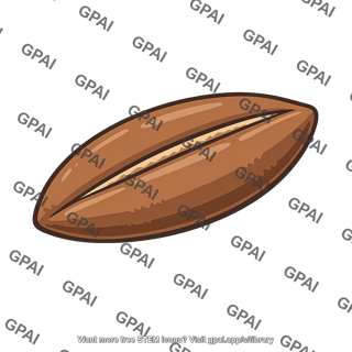 Date palm seed
