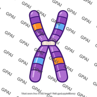 Chromosome reciprocal translocated