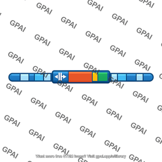 Gene drive allele
