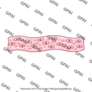 Extraembryonic mesoderm