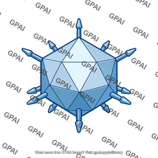 Adenovirus