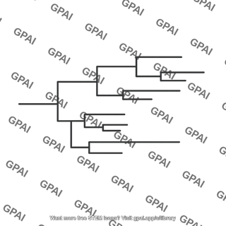 Phylogenetic tree branch length scaled