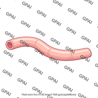 Intestine segment