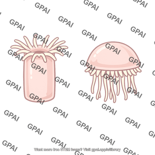 Cnidarian generalized
