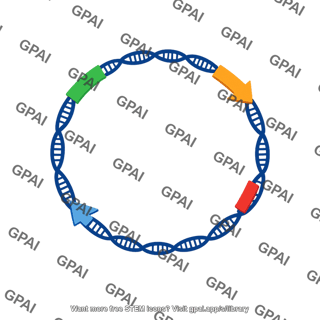 Plasmid dna