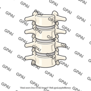Vertebral column segment