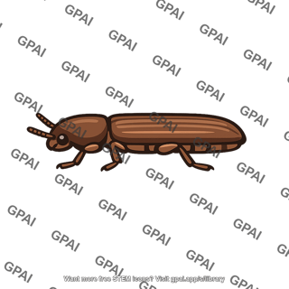 Wood boring insect