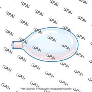 Air sac