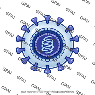 Animal virus enveloped