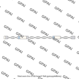 Noncoding dna linear track