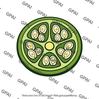 Ovary flower compound